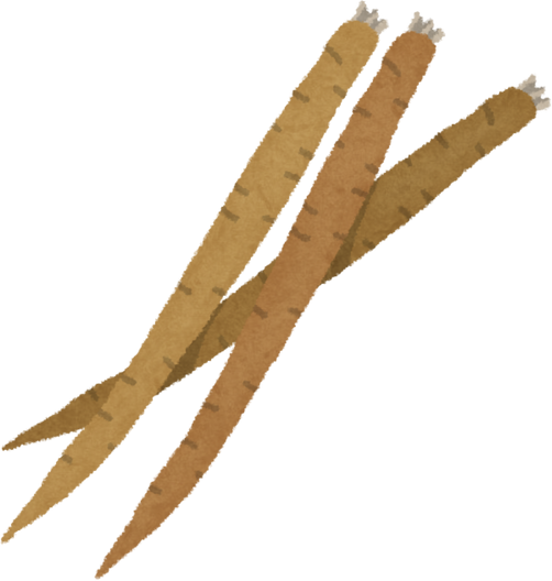 Illustration of Burdock Root